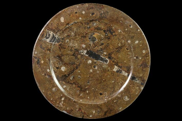Fossil Orthoceras & Goniatite Round Plate - Stoneware #140065